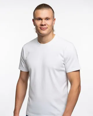 AI model